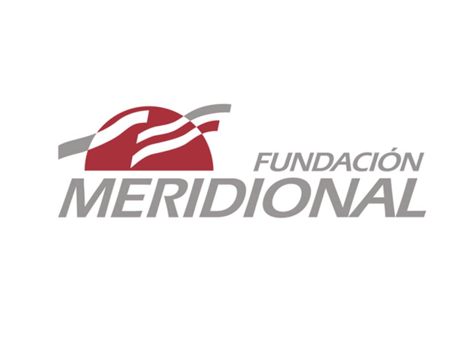 logo fundacion Meridional